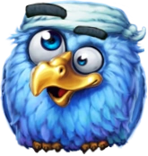 Pirots X blue bird collector